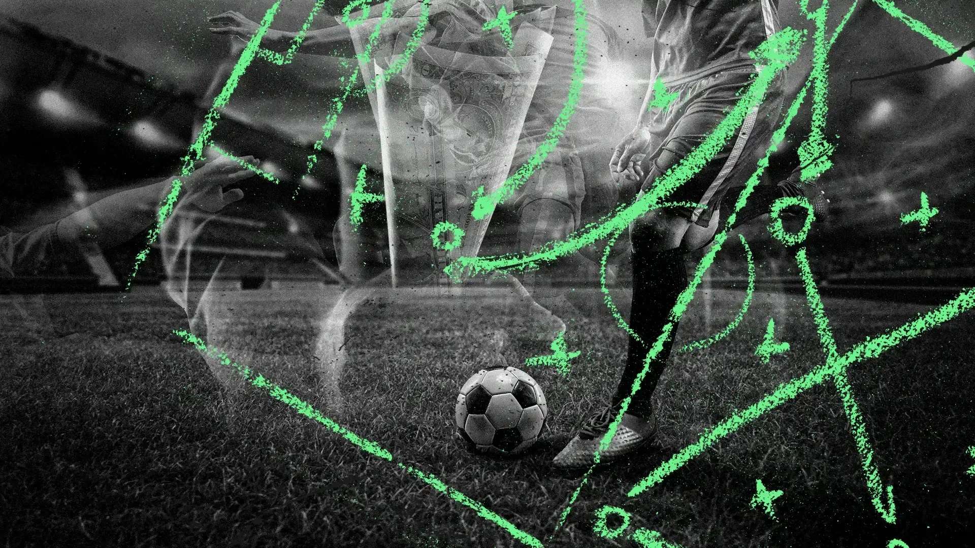 共获得了 共获得了