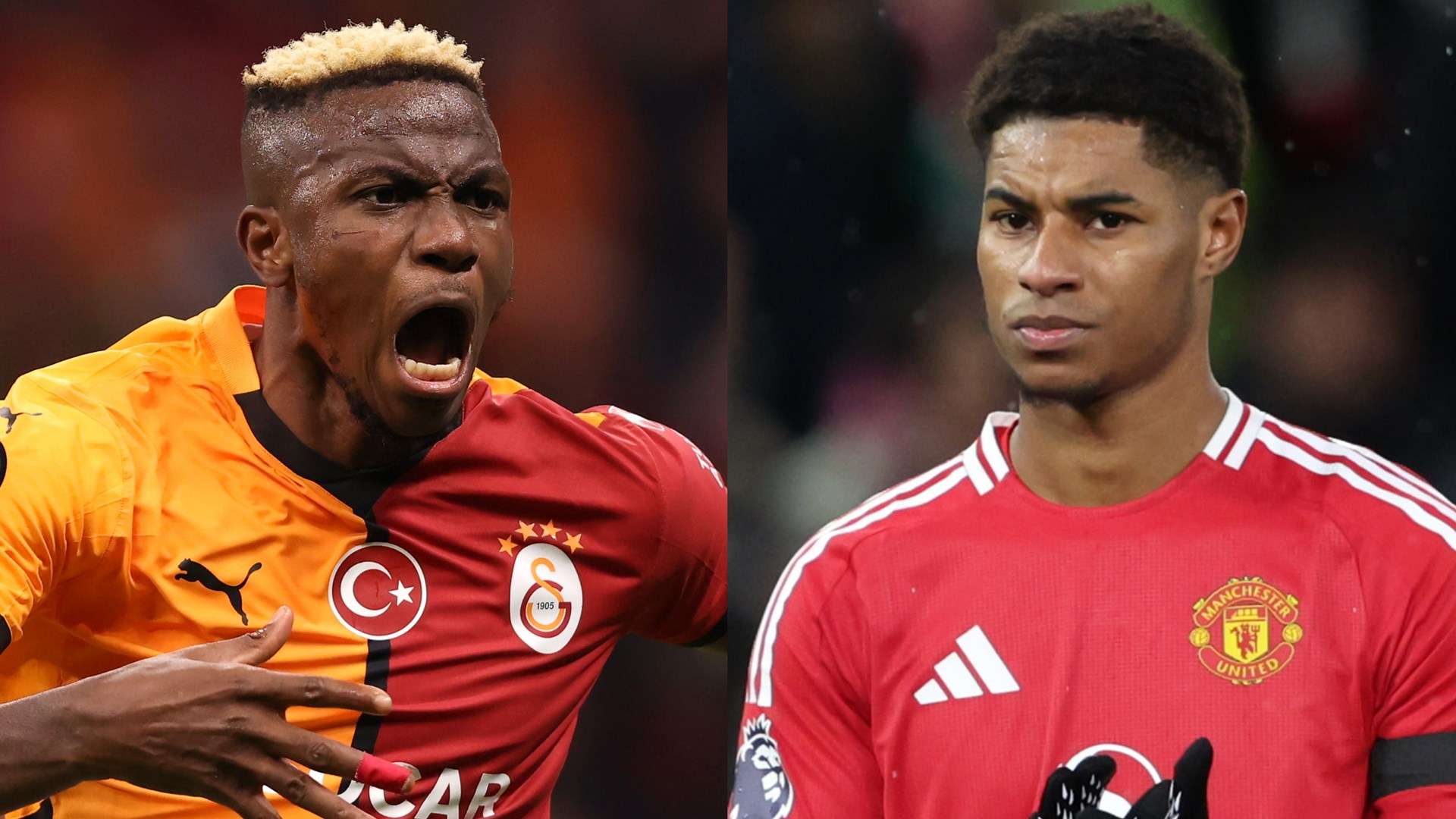 在接下来的 在接下来的